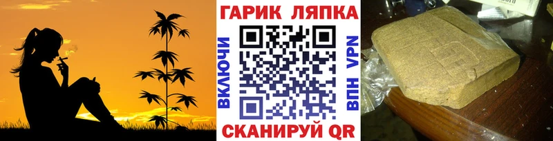ГАШ Cannabis  Купить закладки  Электрогорск 