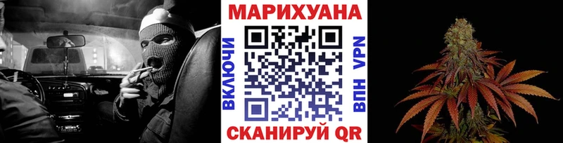 Купить закладки  Электрогорск  Конопля конопля 